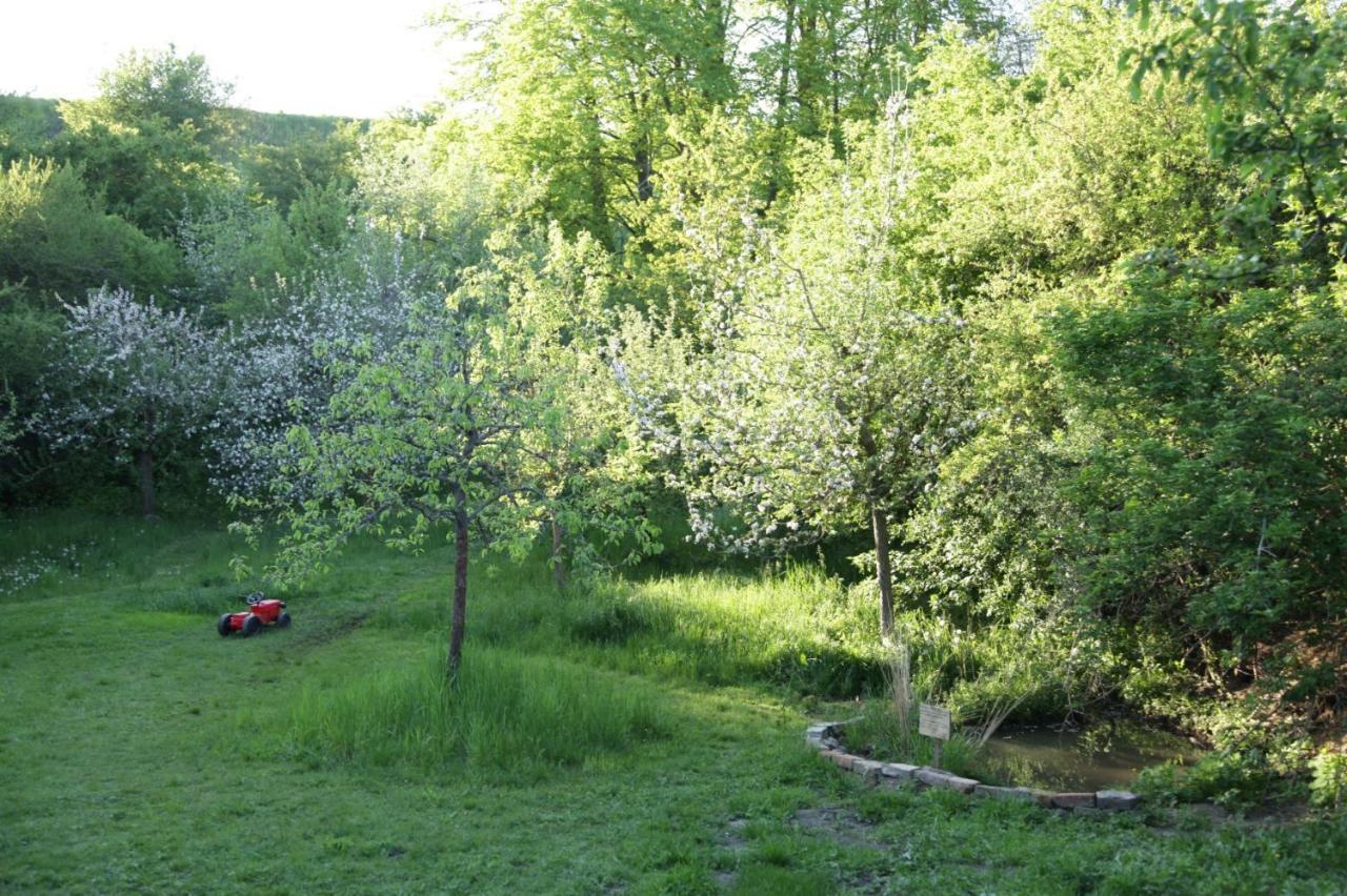 Grosse Wohnung / Haushaelfte In Peetzig Am See Ангермюнде Екстериор снимка