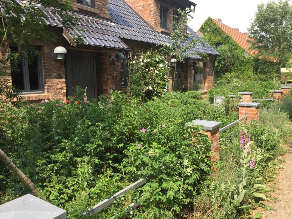 Grosse Wohnung / Haushaelfte In Peetzig Am See Ангермюнде Екстериор снимка